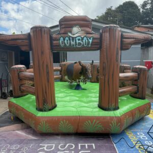 TOURO MECÂNICO (Zecão)